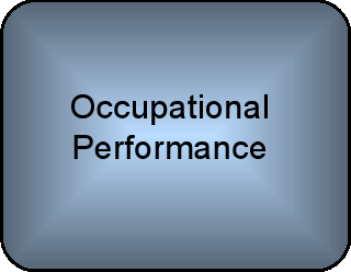 PPT - The Canadian Model of Occupational Performance and